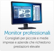 Dell Monitor professionali